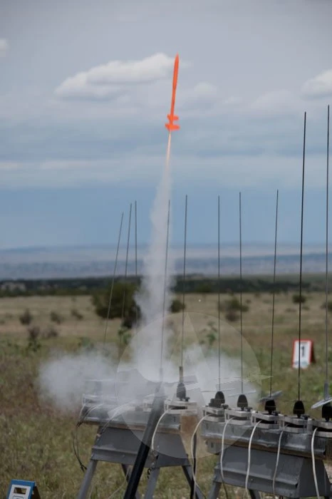 Midge 7 Midge - Image 5