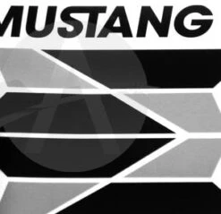 Mustang -Apogee Components Sale 46fb4758d29069439082d7194f3bf0ad.image .300x290