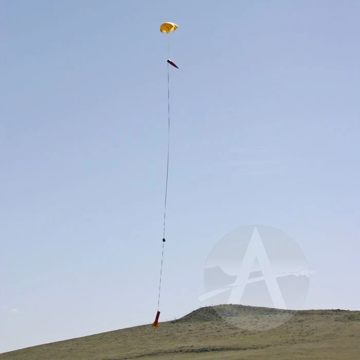 Sumo 12 Sumo - Image 10