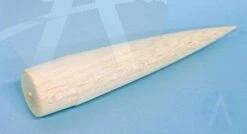 Red Star -Apogee Components Sale 4ce8fbb713dafe25292fbceaa436b39e.image .306x166