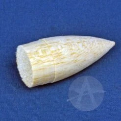 Corporal 25 Corporal -Apogee Components Sale 5381adaab9ee613d41b71a22efc42d15.image .700x700