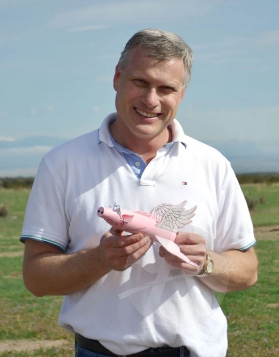 Pigasus 14 Pigasus - Image 12