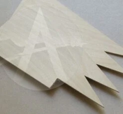 IRIS High Power Payloader -Apogee Components Sale a5f6d6decaf2882c3c44124c1ab212d4.image .300x277